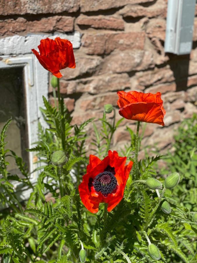 Rosenfors Herrgard B&B Borgholm Kültér fotó